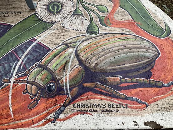 Text 
Christmas Beetle 
Anoptognathus pallidicollis 

Image:
Bright coloured bug 