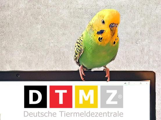Tiermeldezentrale