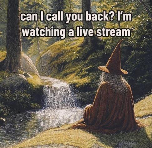 A wizard in appointed hat and robes sits on a grassy bank in a woodland area with his back to us. He is facing a stream and small waterfall running between the trees. The words above say "Can I call you back? I'm watching a live stream."