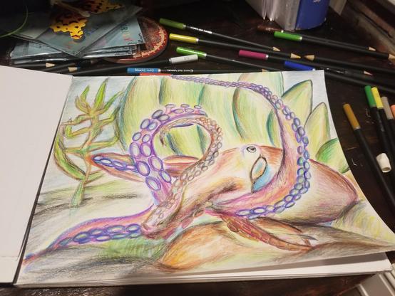 Colored pencil drawing of an octopus sitting on a rock with its tentacles exploring its surroundings.