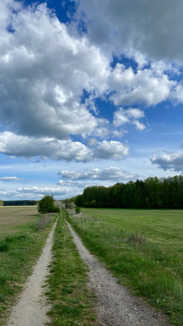 Ein Feldweg umsäumt von Feld und Wiese mit lockeren Wolken am blauen Himmel.