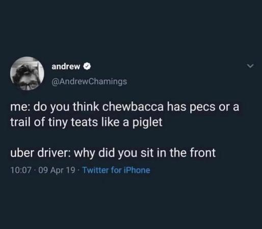 @AndrewChamings
me: do you think chewbacca has pecs or a
trail of tiny teats like a piglet?

uber driver: why did you sit in the front
