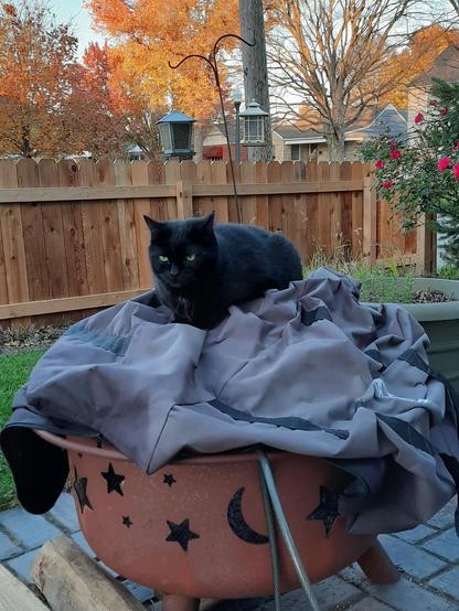 Black cat sitting on top of a fire pit outside in a yard.