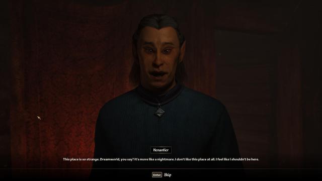 Henantier says that this Dreamworld is more like a nightmare, he feels like he shouldn't be here.