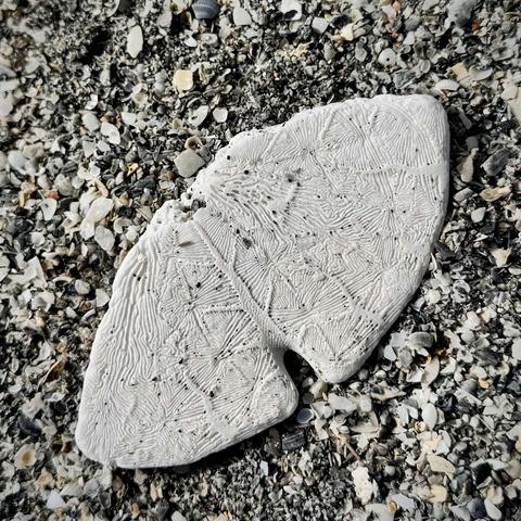 A close up of the delicate patterned underside of a broken sand dollar.