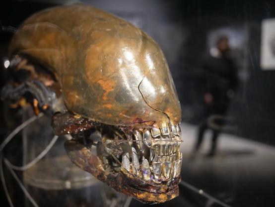 Closeup of the xenomprph mask showing the armature and mechanisms from the Alien movie