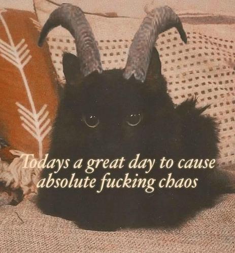 A cute black moggy, with horns, resting on a sofa, and the legend "Today's a great day to cause absolute fucking chaos"