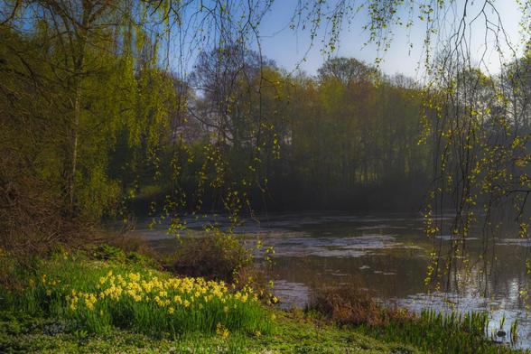 Kenwood House Garden Lake in Spring
