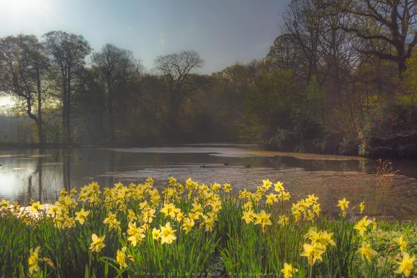 Lake and Gardens of Kenwood House in Hampstead