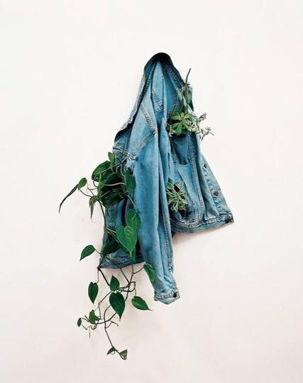untitled work (from the series titled Underground) by Aurélien Arbet and Jeremie Egry, 2010 (multimedia)
A jean jacket hanging on a wall with live houseplants growing out of the pockets.