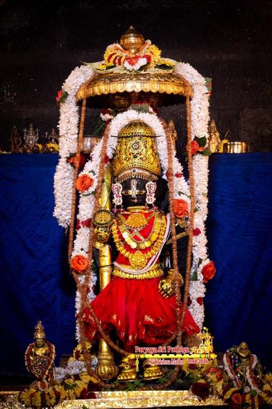 Idol of Hindu deity Krishna in red outfit, many gold ornaments, a gold-clad staff in right hand, gold shoes, gold crown, and a gold umbrella overhead. White flower garlands draped over the umbrella and Krishna's crown, both garlands flowing down on either side of Krishna. Blue cloth background.