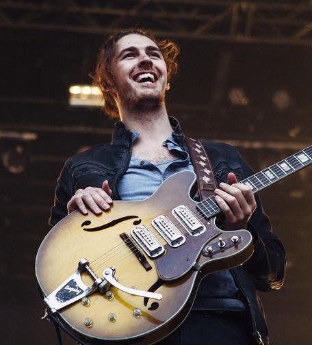 A picture of Hozier