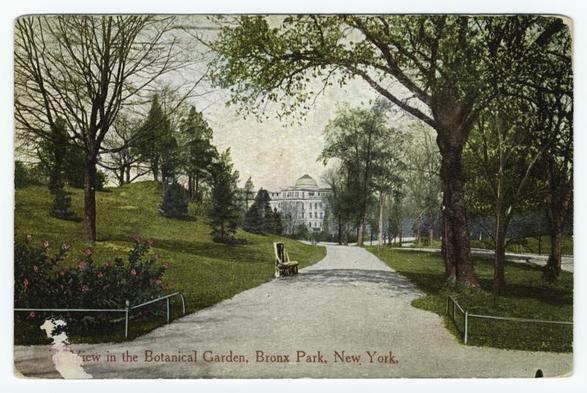 View in the Botanical Garden, Bronx Park, New York