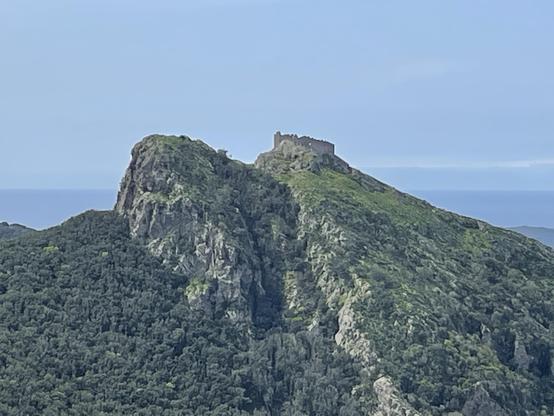 Castle perched on the peak of a shrub-covered rock.