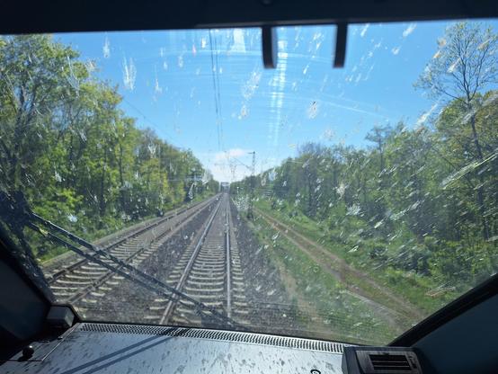 Blick durch die stark mit Insekten verschmutzte Frontscheibe eines ICE1. Man sieht Gleise, blauen Himmel, rechts und links Bäume.