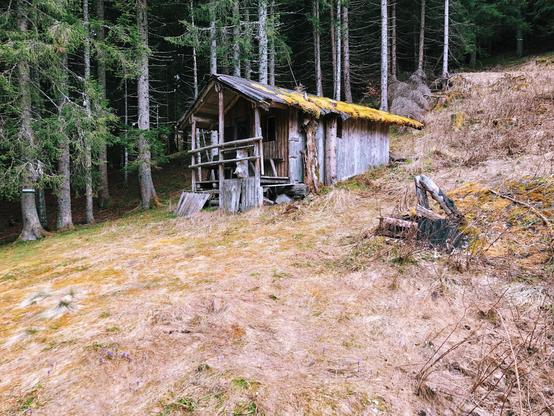A wooden barn near an open space and trees in the woods