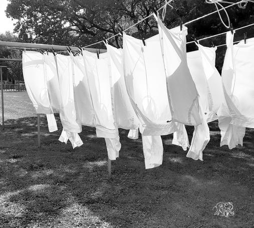 White shirts on a clothesline
