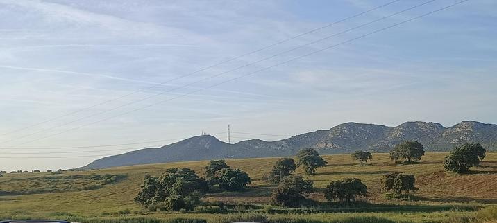 Un paisaje de la dehesa extremeña. Al fondo, unos cerros y en primer término un campo con varias encinas. 