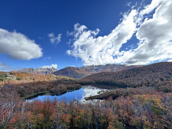 Imagen panorámica de un lago sereno rodeado de un bosque otoñal. Los árboles presentan una mezcla de tonos rojizos, marrones y verdes, mostrando la belleza de la estación. Al fondo, se elevan imponentes montañas bajo un cielo azul salpicado de nubes blancas y esponjosas. La escena transmite tranquilidad y la belleza natural de un paisaje montañoso en otoño.