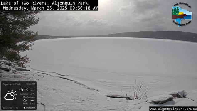 A webcam shot of Lake of Two Rivers in Algonquin Park.