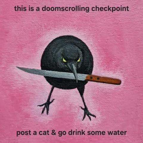 A cartoon of Canuck the crow with knife in his beak, accompanied by the words "this is a doomscrolling checkpoint, post a cat & go drink some water"