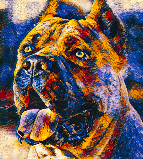 Cane Corso Head - Blue and Orange Colorful Painting