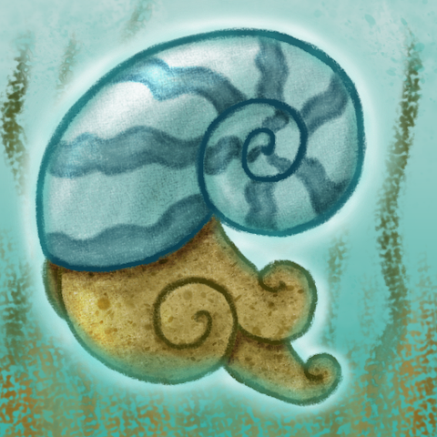 A vibrant digital drawing of an ammonite.