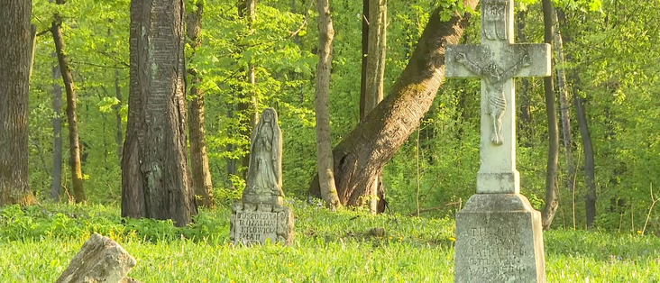 Puzhniki, Ukraine Cemetery. Source: Screengrab TVP World report

A tomb in an Ukrainian forest. The inscription in Polish reads: Here rests Rozaliya Krowicka. She lived!!
