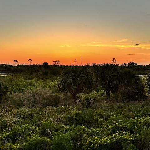 Vivid aunset over marsh land.