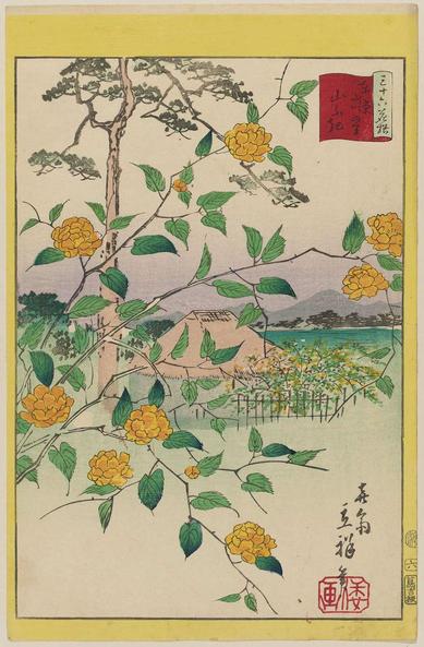 Woodblock print of yamabuki (kerria roses).

Image thanks🙇‍♂️-ukiyo-e.org