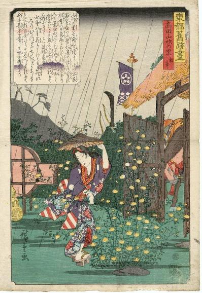 Woodblock print of a young woman caught in a downpour (rushing past yamabuki).

Image thanks🙇‍♂️-ukiyo-e.org