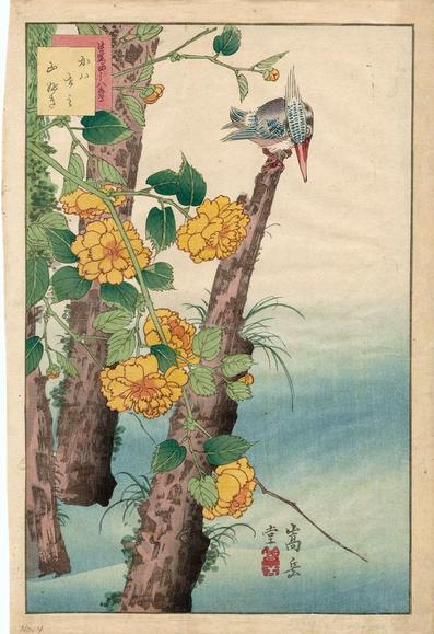 Woodblock print of yamabuki (kerria roses) and kingfisher.

Image thanks🙇‍♂️-ukiyo-e.org