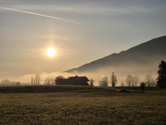 A serene scene captured in this image showcases a quaint house nestled in a vast field surrounded by towering trees. In the distance, majestic mountains rise against a grey sky, creating a stunning backdrop. The colors of brown and grey dominate the landscape, with hints of a warm accent color adding contrast. The peaceful setting is enhanced by the presence of fog and a hint of sunrise or sunset in the sky. This rural area exudes tranquility and natural beauty, making it a perfect representation of a peaceful countryside retreat.