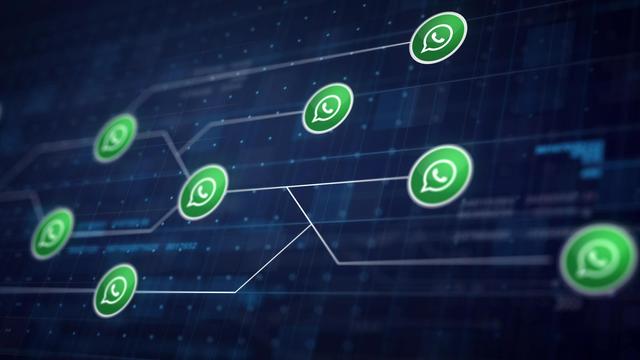 Whats Business Api