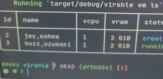 Screenshot of a terminal displaying a minimal table/list of virtual machines running on server.