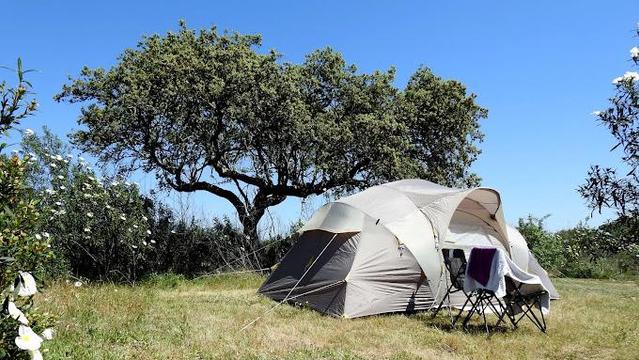 At Bubulcus & Bolotas, a light colour camping tent is set up on a grassy clearing under a bright blue sky. Two folding chairs with a towel draped over one are placed outside the tent. In the background, a wide, gnarled tree with a holm oak tree provides partial shade, surrounded by tall shrubs with white rockroses.