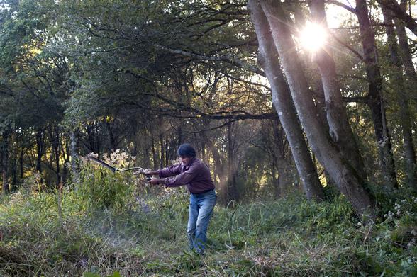 Un homme, Yves Gillen, fauche dans les herbes hautes. Derrière lui, à droite de l’image, le soleil perce à travers quelques arbres. Un faisceau lumineux vient ainsi l’éclairer. Un lignée d’arbre ferme l’image. 