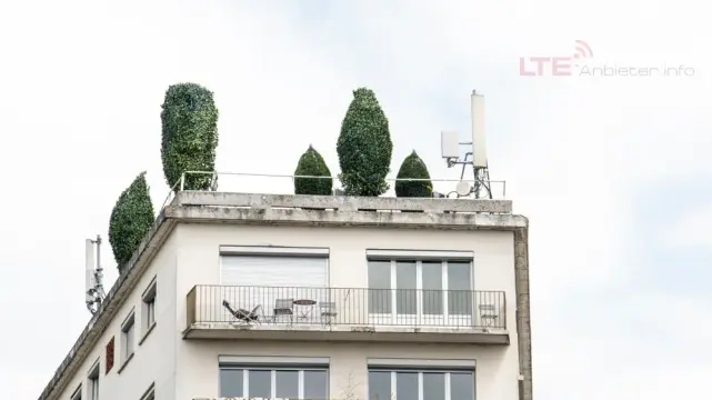 direkt zum LTE-Forum