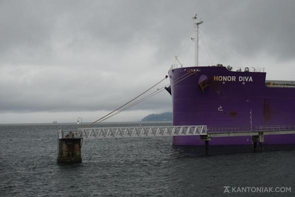 Photo: Bulk carrier "Honor Diva", moored by the Pier 86 Grain Terminal. Stormy weather.