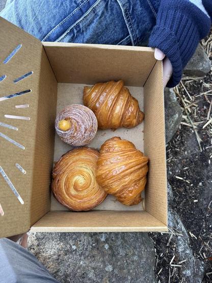 Lune Pastries