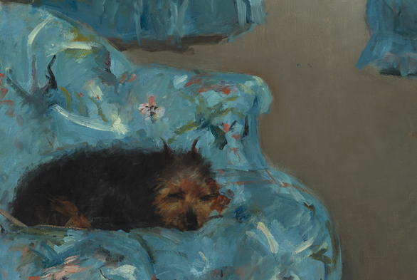 a close-up of the cute furry little brown dog