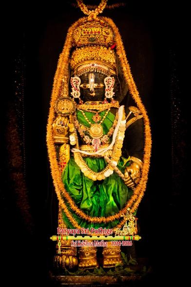 Idol of Hindu deity Krishna dressed neck-to-toe in emerald-green, lots of gold ornaments, gold crown, and gold shoes. Light brown garlands around Krishna from the crown down to the ankles. 