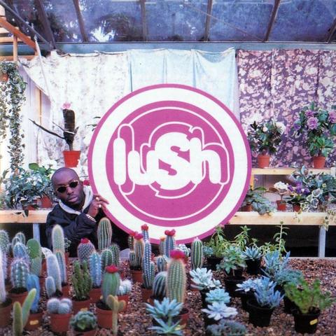 An image of the cover of the album 'Lovelife' by Lush