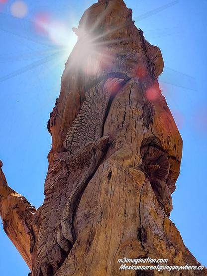 Coachella California Nature Photography