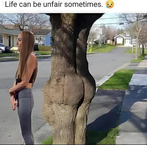 Image: white woman with no ass waiting in front of tree with ass lol

Caption: Life can be unfair sometimes