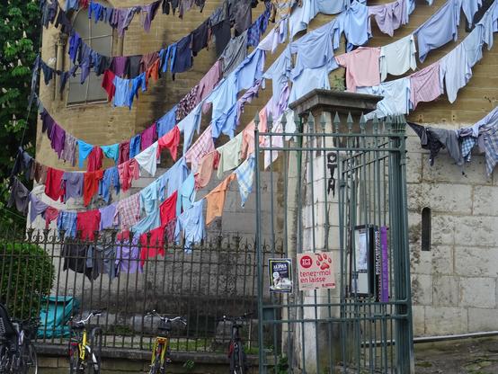 Un panneau demandant au passant de tenir son chien en laisse sur le portail juste en dessous de l'installation "oiseaux de passages" formé de centaines de chemises par les manches desquelles passent des cables pour qu'elles restent suspendues tout le long du batiment