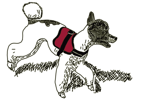 A digital drawing of a white poodle making a sudden turn while running.