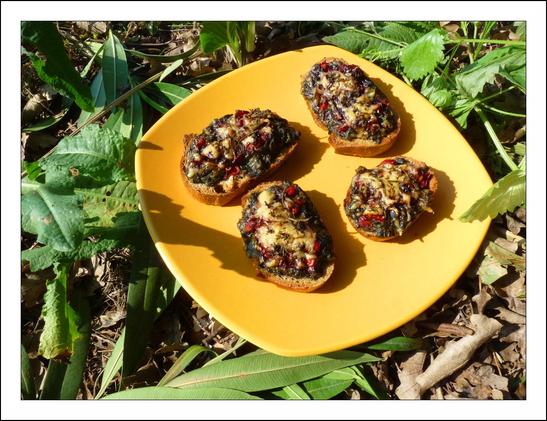 Bruschettas: garden herbs (forage cabbage, wild chard, sorrel), red bell pepper, Emmental cheese, thyme and rosemary…

