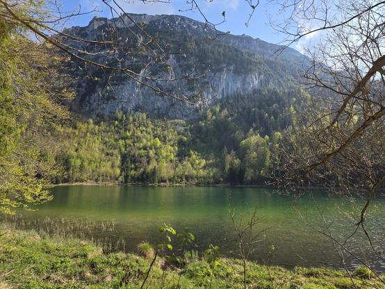 Ein grün schimmernder Hochmoorsee vor gigantischer Bergkulisse im Frühling.