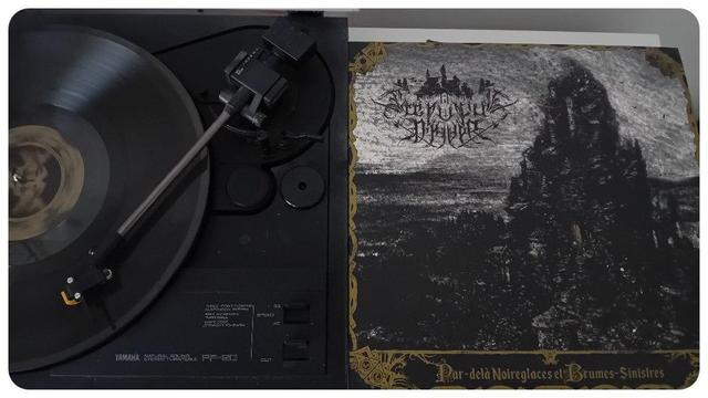 Pochette de l'album "Par-Delà Noireglaces et Brumes-Sinistres" du groupe Crépuscule d'Hiver. 
Pochette avec un visuel de Black Métal donc c'est sombre. 
On retrouve une citadelle médiévale en style gravure devant avec le nom du groupe à gauche. 
Le nom de l'album est en doré et lisible en dessous. 
Très bon album avec des chansons dépressives.